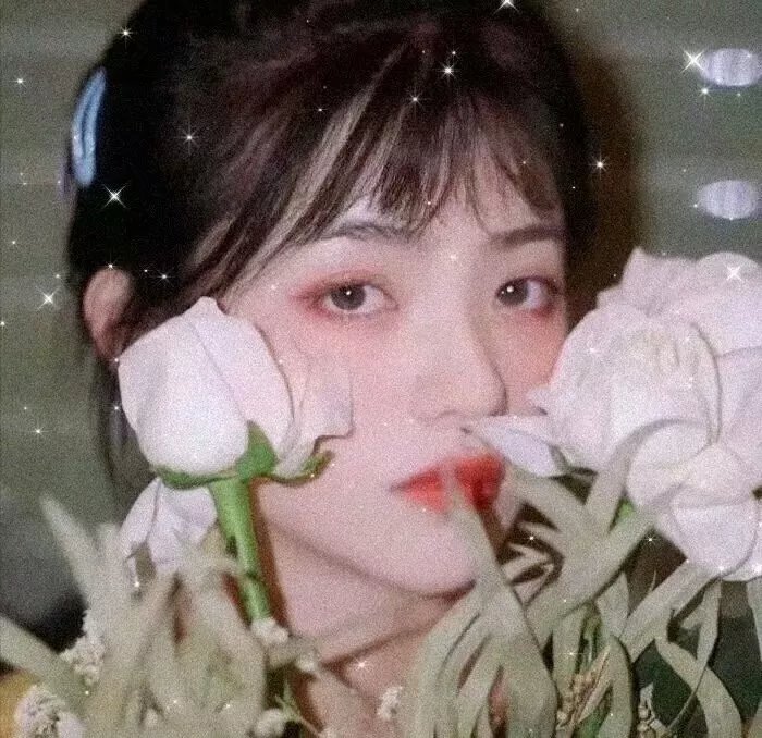 薇奥拉