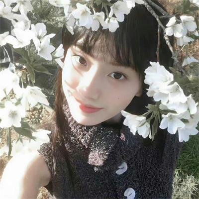 雪中悍刀行第二季